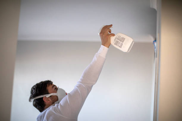 Best Mold Removal Company Near Me  in Thoreau, NM