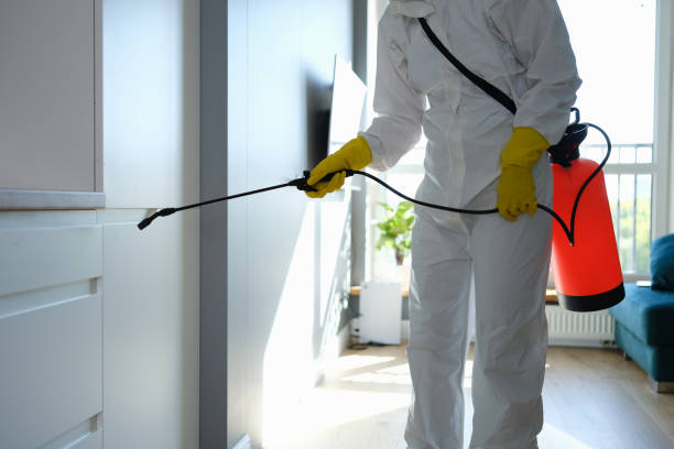 Best Mold Testing  in Thoreau, NM